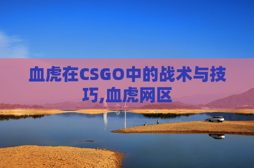 血虎在CSGO中的战术与技巧,血虎网区