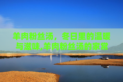 羊肉粉丝汤，冬日里的温暖与滋味,羊肉粉丝汤的家常做法