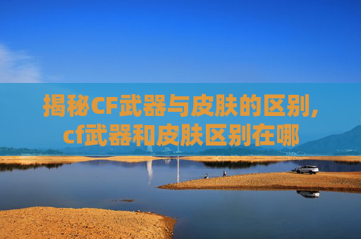 揭秘CF武器与皮肤的区别,cf武器和皮肤区别在哪