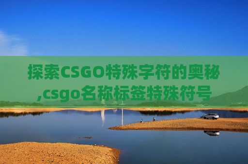 探索CSGO特殊字符的奥秘,csgo名称标签特殊符号