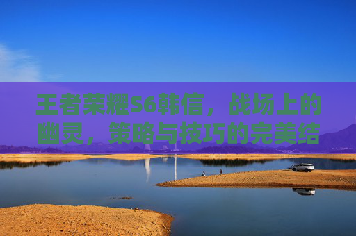 王者荣耀S6韩信，战场上的幽灵，策略与技巧的完美结合,王者荣耀 s6韩信怎么玩
