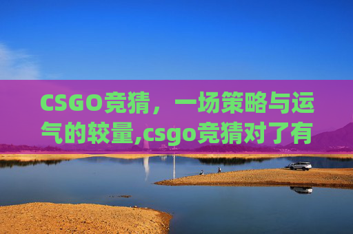 CSGO竞猜，一场策略与运气的较量,csgo竞猜对了有什么奖励