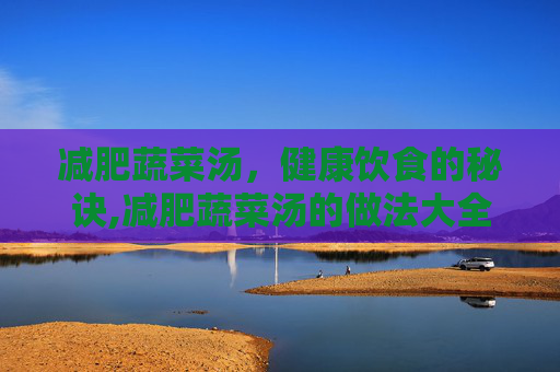 减肥蔬菜汤，健康饮食的秘诀,减肥蔬菜汤的做法大全
