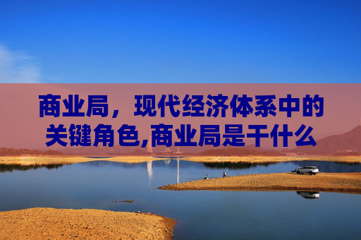 商业局，现代经济体系中的关键角色,商业局是干什么的