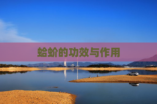 蛤蚧的功效与作用