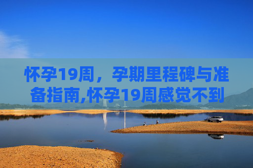 怀孕19周，孕期里程碑与准备指南,怀孕19周感觉不到胎动正常吗