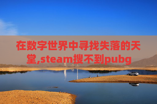 在数字世界中寻找失落的天堂,steam搜不到pubg