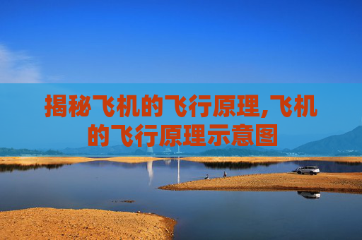 揭秘飞机的飞行原理,飞机的飞行原理示意图