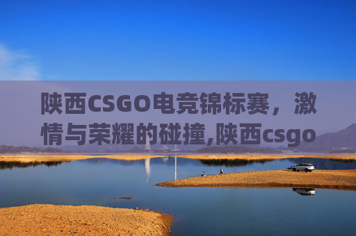 陕西CSGO电竞锦标赛，激情与荣耀的碰撞,陕西csgo电竞锦标赛赛程