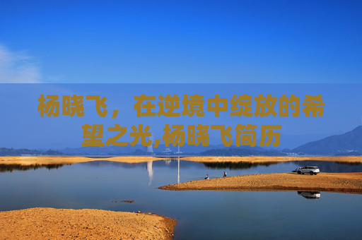杨晓飞，在逆境中绽放的希望之光,杨晓飞简历