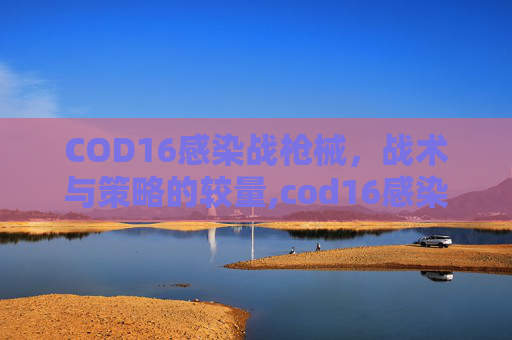 COD16感染战枪械，战术与策略的较量,cod16感染者刀把