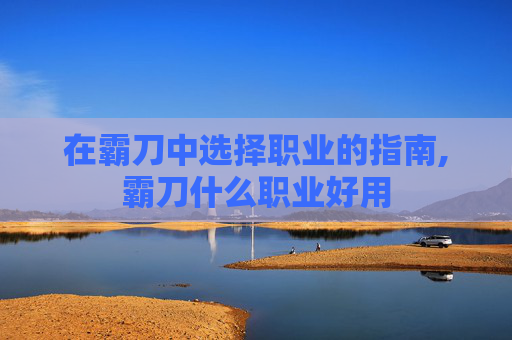 在霸刀中选择职业的指南,霸刀什么职业好用