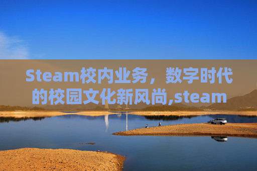 Steam校内业务，数字时代的校园文化新风尚,steam校招
