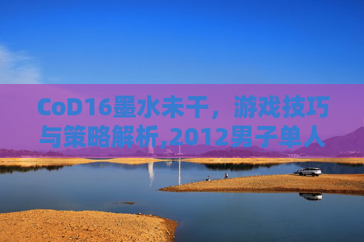 CoD16墨水未干，游戏技巧与策略解析,2012男子单人十米跳台