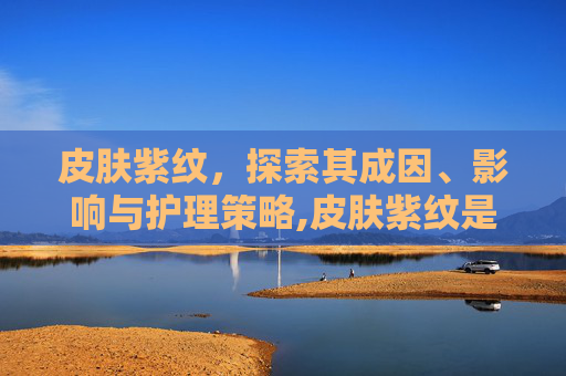 皮肤紫纹，探索其成因、影响与护理策略,皮肤紫纹是什么意思