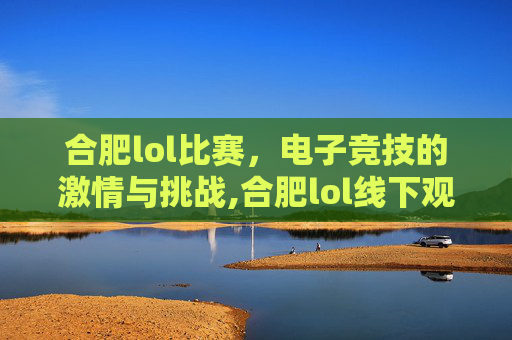 合肥lol比赛，电子竞技的激情与挑战,合肥lol线下观赛