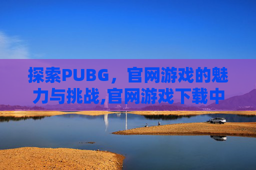 探索PUBG，官网游戏的魅力与挑战,官网游戏下载中心