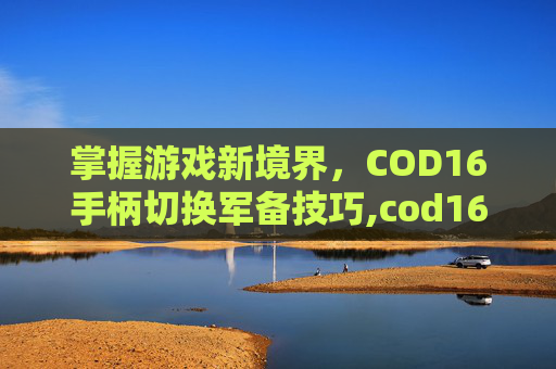 掌握游戏新境界，COD16手柄切换军备技巧,cod16手柄自定义按键