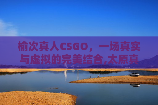 榆次真人CSGO，一场真实与虚拟的完美结合,太原真人cs玩一次多少钱
