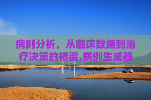 病例分析，从临床数据到治疗决策的桥梁,病例生成器