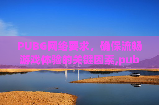 PUBG网络要求，确保流畅游戏体验的关键因素,pubg对网络要求高么