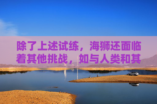 除了上述试练，海狮还面临着其他挑战，如与人类和其他海洋生物的互动。随着海洋环境的恶化，海狮的生存空间越来越小。为了保护自己的家园，海狮们必须学会与人类和谐相处，同时保护好自己的领地。,海狮试炼居民在哪