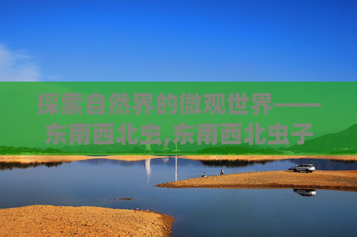探索自然界的微观世界——东南西北虫,东南西北虫子图片