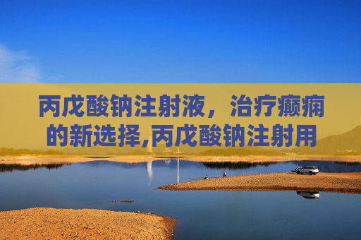 丙戊酸钠注射液，治疗癫痫的新选择,丙戊酸钠注射用浓溶液说明书