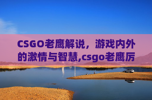 CSGO老鹰解说，游戏内外的激情与智慧,csgo老鹰厉害吗