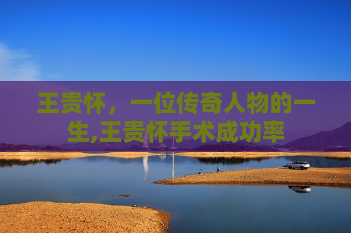 王贵怀，一位传奇人物的一生,王贵怀手术成功率