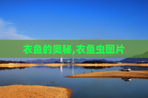 衣鱼的奥秘,衣鱼虫图片