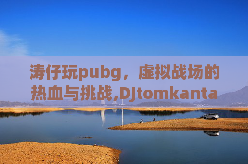 涛仔玩pubg，虚拟战场的热血与挑战,DJtomkantao涛仔