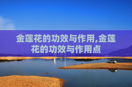 金莲花的功效与作用,金莲花的功效与作用点