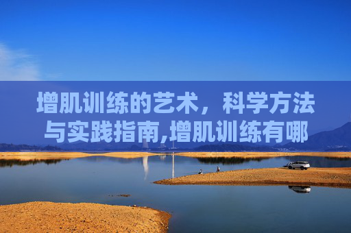 增肌训练的艺术，科学方法与实践指南,增肌训练有哪些项目