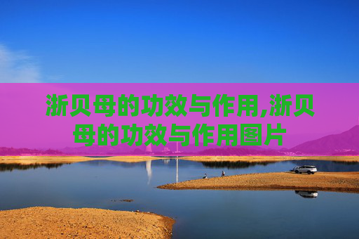 浙贝母的功效与作用,浙贝母的功效与作用图片