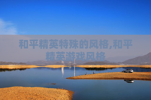 和平精英特殊的风格,和平精英游戏风格