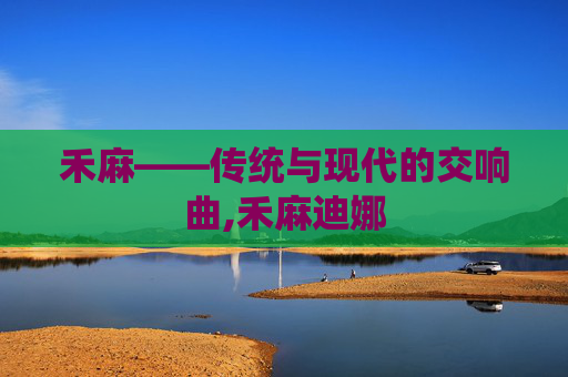 禾麻——传统与现代的交响曲,禾麻迪娜