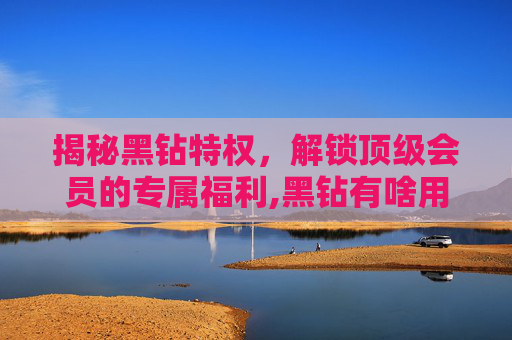 揭秘黑钻特权，解锁顶级会员的专属福利,黑钻有啥用