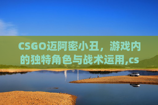 CSGO迈阿密小丑，游戏内的独特角色与战术运用,csgo迈阿密多少钱