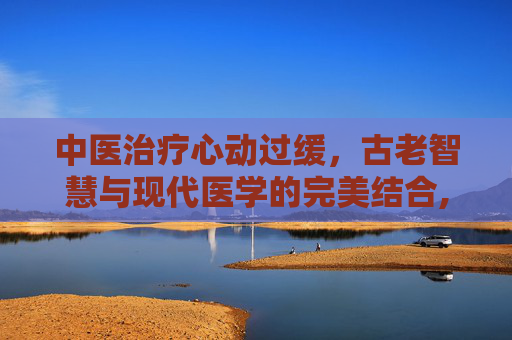 中医治疗心动过缓，古老智慧与现代医学的完美结合,心动过缓中医治疗方剂有哪些