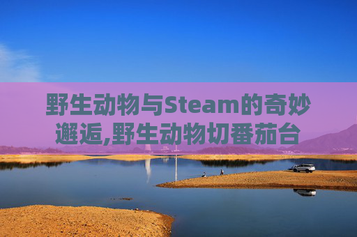 野生动物与Steam的奇妙邂逅,野生动物切番茄台