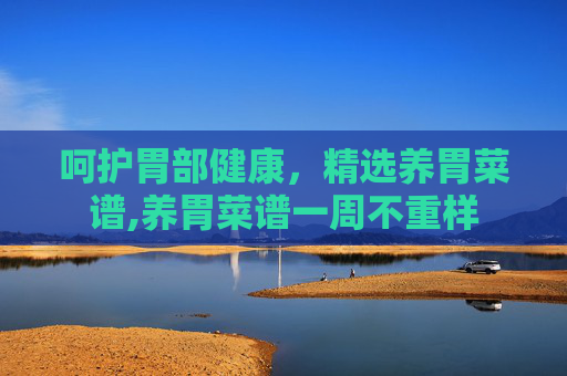 呵护胃部健康，精选养胃菜谱,养胃菜谱一周不重样