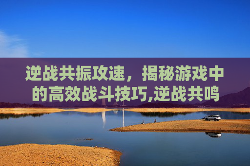 逆战共振攻速，揭秘游戏中的高效战斗技巧,逆战共鸣