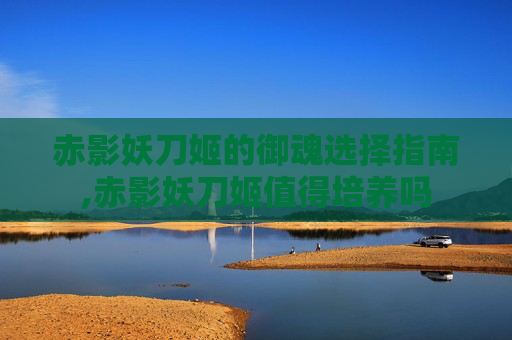 赤影妖刀姬的御魂选择指南,赤影妖刀姬值得培养吗