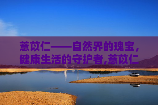 薏苡仁——自然界的瑰宝，健康生活的守护者,薏苡仁的功效与作用是什么