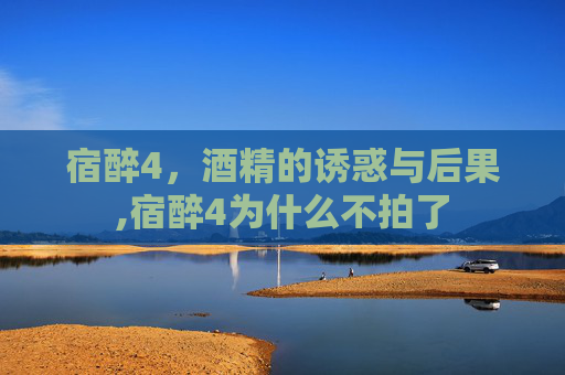 宿醉4，酒精的诱惑与后果,宿醉4为什么不拍了