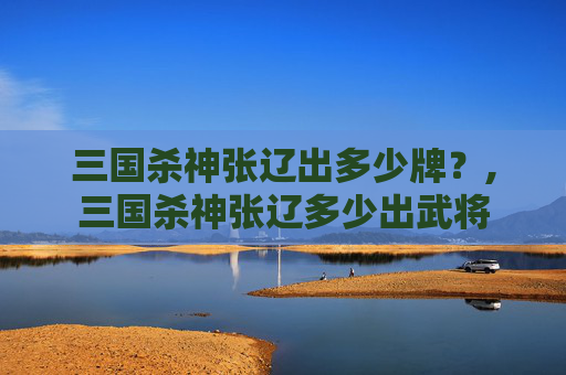 三国杀神张辽出多少牌？,三国杀神张辽多少出武将