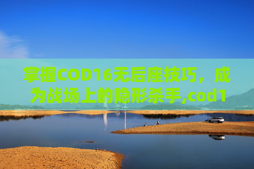 掌握COD16无后座技巧，成为战场上的隐形杀手,cod16设置