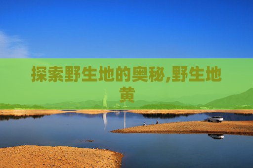 探索野生地的奥秘,野生地黄