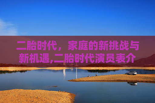 二胎时代，家庭的新挑战与新机遇,二胎时代演员表介绍